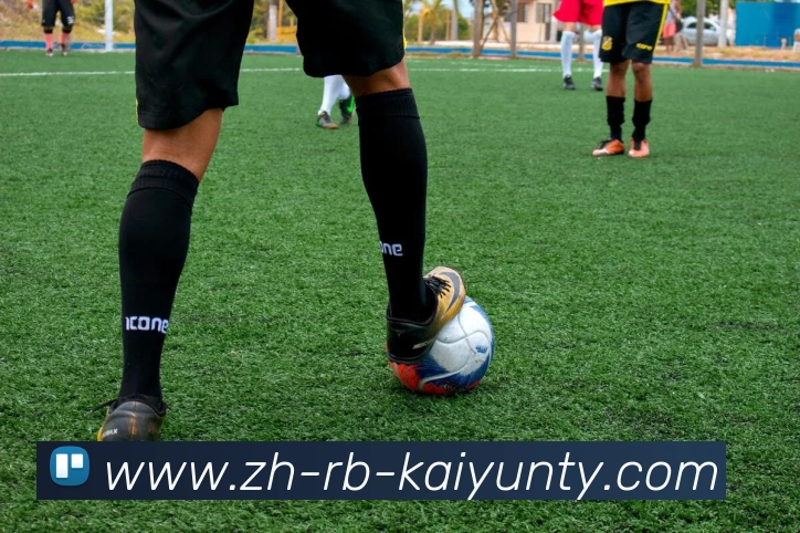 多媒体互动体验