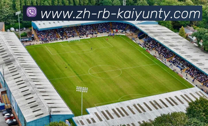 ky开云APP 体育赛事宣传图